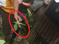 Kasus Penembakan Penjudi di Mata Hukum, Usut !!!