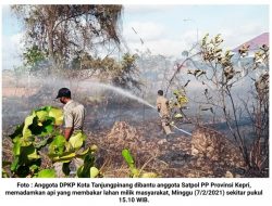 Usai Padamkan Api di Sungai Pulai, DPKP Padamkan Api Lagi di Belakang Kantor Satpol PP