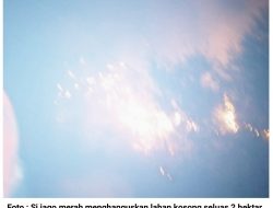 2 Hektar Lahan di Samping SMPN 12 Tanjungpinang Terbakar