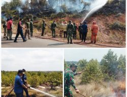 Dandim 0315/Bintan, DPKP, Polsek Bukit Bestari dan Satpol PP Berjibaku Padamkan Api di Tanjung Moco