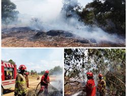 Dalam Satu Hari Dua Kebakaran Lahan Terjadi di Tanjungpinang