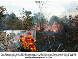 2 Hektar Lahan di Sei Ladi Hangus Terbakar, Hantoni : Sengaja Membakar Lahan atau Hutan Denda 3 Sampai 10 Miliyar