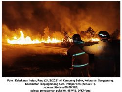 Foto : Lahan di 5 Kelurahan Kembali Dilalap si Jago Merah