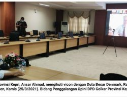 Pemerintah Denmark Apresiasi Program Ansar Ahmad Tentang Sustainable Energy di Kepri