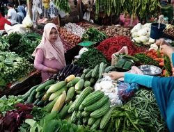 Optimisme Kepulauan Riau Bersama Ansar Ahmad