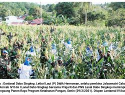 Dukung Ketahanan Pangan : Lanal Dabo Singkep Panen Jagung