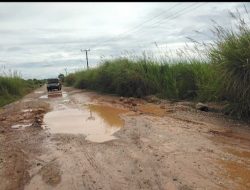 Pengguna Jalan Jambi – Suak Kandis Mengeluh