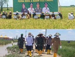 Danrem 031/WB bangga atas keberhasilan panen raya di Rohil