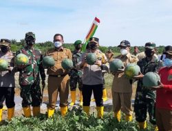 Danrem 031/WB Panen Semangka perdana di pekaitan Kab. Rohil