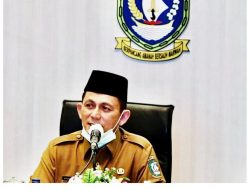Meski Defisit, Ansar Ahmad Jamin Honorer Tetap Aman