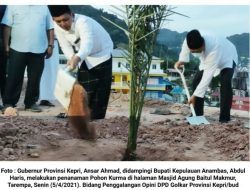 Ansar Ahmad Tanam Kurma di Halaman Masjid Agung Baitul Makmur