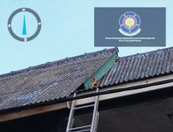 Bisa Sebabkan Kematian, Petugas DPKP Evakuasi Sarang Tawon Tabuan