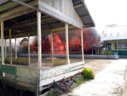 Sijago Merah Mengamuk, Hanguskan SDN 16 Nipah Panjang