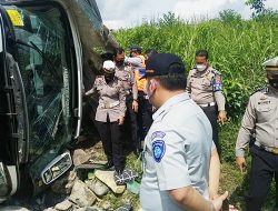 Kecelakaan Bus Akap Sambodo Rute Padang – Jakarta, 4 Meninggal Dunia Di Lokasi Kejadian