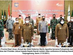 Ansar Ahmad Optimis Kepri Bisa Bantu Tingkatkan Ekonomi Indonesia