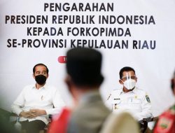 Soal Progres Jembatan Batam-Bintan, Ansar Ahmad : Presiden Merespon dengan Baik