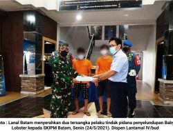 Lanal Batam Serahkan Tersangka Penyelundupan Baby Lobster pada SKIPM