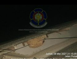 DPKP Tanjungpinang Evakuasi Sarang Lebah Tabuan di Atas Rumah Warga