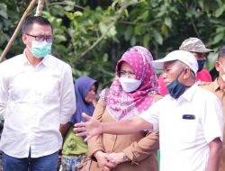 Wabup 50 Kota dan Kadis PUPR Tinjau Jalan Putus di Muara Paiti