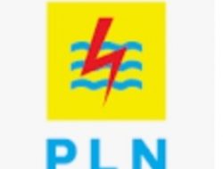 Warga Kumpeh Keluhkan Listrik Sering Mati, PLT Camat Kumpeh Akan Surati PLN Rayon Telanai