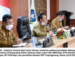 Ini yang Dibahas Sejumlah Instansi saat Audiensi dengan Gubernur Kepri