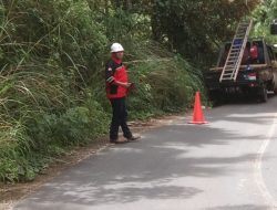 Tim dari PLN Rayon Bangko Melakukan Pembersihan Jaringan di Desa Koto Rami Kecamatan Lembah Masurai