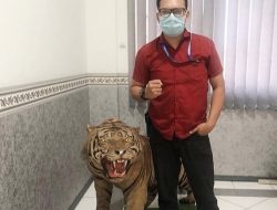 Penalti Tidak Sesuai Dengan Peran, Lapas ‘Penuh’ Jika Rehabilitasi Belum Jadi Prioritas