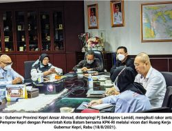 Soal Aset Kepri di Batam, Ansar Ahmad Bersyukur Selesai dengan Win-Win Solution