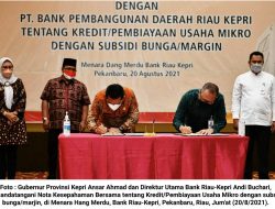 Gandeng Bank Riau-Kepri, Pemprov Kepri Berikan Pinjaman Lunak Tanpa Bunga 