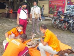 Desi Andriani, Warga Tanjung Morawa Ditemukan Tewas di Sungai Belumai