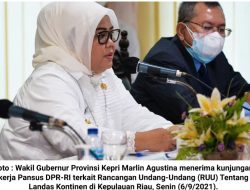 Wagub Kepri pada Pansus DPR-RI : Masukan dari Kepri Diakomodir