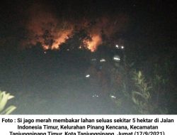 5 Hektar Lahan Terbakar, DPKP Kerahkan 3 Armada Damkar