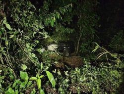 Diduga Hilang Kendali, Satu Unit Mobil Mewah Terjun Kejurang