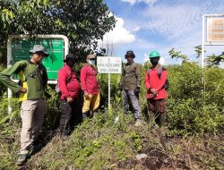 Patroli Rutin Karhutla KPHP Unit XIV Tanjung Jabung Timur Telusuri Hutan Lindung Gambut Sungai Londrang