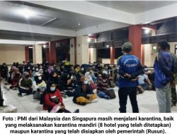Mayor Inf Reza Fahlevi: Penanganan Pemulangan PMI Harus Teliti dan Awas