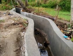 Rehabilitasi Jaringan Irigasi Titi Ampera Koto Tangah Batu Hampa, Masyarakat: Ini Sangat Bermanfaat Bagi Kami Khususnya Petani