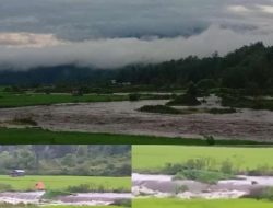 Banjir Bandang Sawah Warga Desa Muara Madras Dan Sekitarnya Terbawa Arus Sungai Mentenang