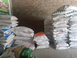 Harga Pupuk Melambung Petani Serdang Bedagai Menjerit