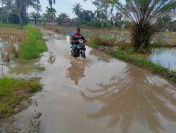 Masyarkat Sungai Rampah Rindu Jalan Yang Layak Untuk Dilalui