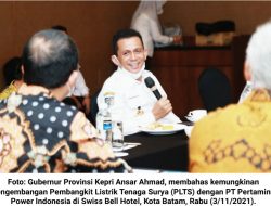 Ansar Ahmad Dukung Pengembangan Energi Listrik Alternatif di Kepri 