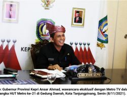 Potensi Maritim dan Kemudahan Investasi, Dua Jurus Ansar Ahmad Bangkitkan Kepri 