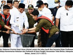 Ansar Ahmad Ingin Budidaya Ikan di Pangkil Jadi ‘Embrio’ Kebangkitan Budidaya Ikan Kepri