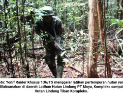 Yonif Raider Khusus 136/TS Gelar Latihan “Jungle War”