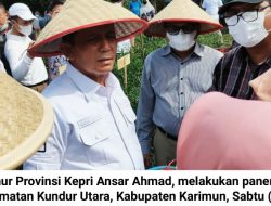 Obsesi Ansar Ahmad, Jadikan Kundur sebagai Lumbung Pangan di Kepri 
