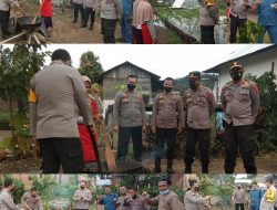Waah !! Selain Gonseng Kopi Kapolres Merangin Menikmati Secangkir Kopi Gula Aren Muara Madras Lembah Mentenang Jangkat