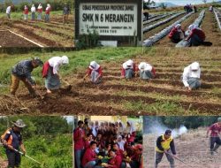 Luar Biasa SMK N 6 Merangin Patut di Acungkan Jempol
