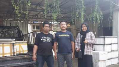 Perluas Jangkauan Konsumen, Supplier Baby Crab Optimis Layani ...