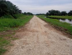 Diduga, Proyek Peningkatan Jalan Menuju TPU Desa Maju Jaya Tidak Sesui Bestek????