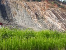 Dugaan Raja SPBU yang Melakukan Perusakan Lingkungan di Bukit Palano, Pemko hanya Beri Teguran ?