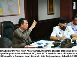 PLTS Karimun Libatkan 4 Perusahaan Internasional